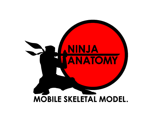 動きのプロ向け骨格模型 | Ninja Anatomy Japan