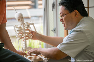 体幹が動く骨格模型 | Ninja Anatomy Japan