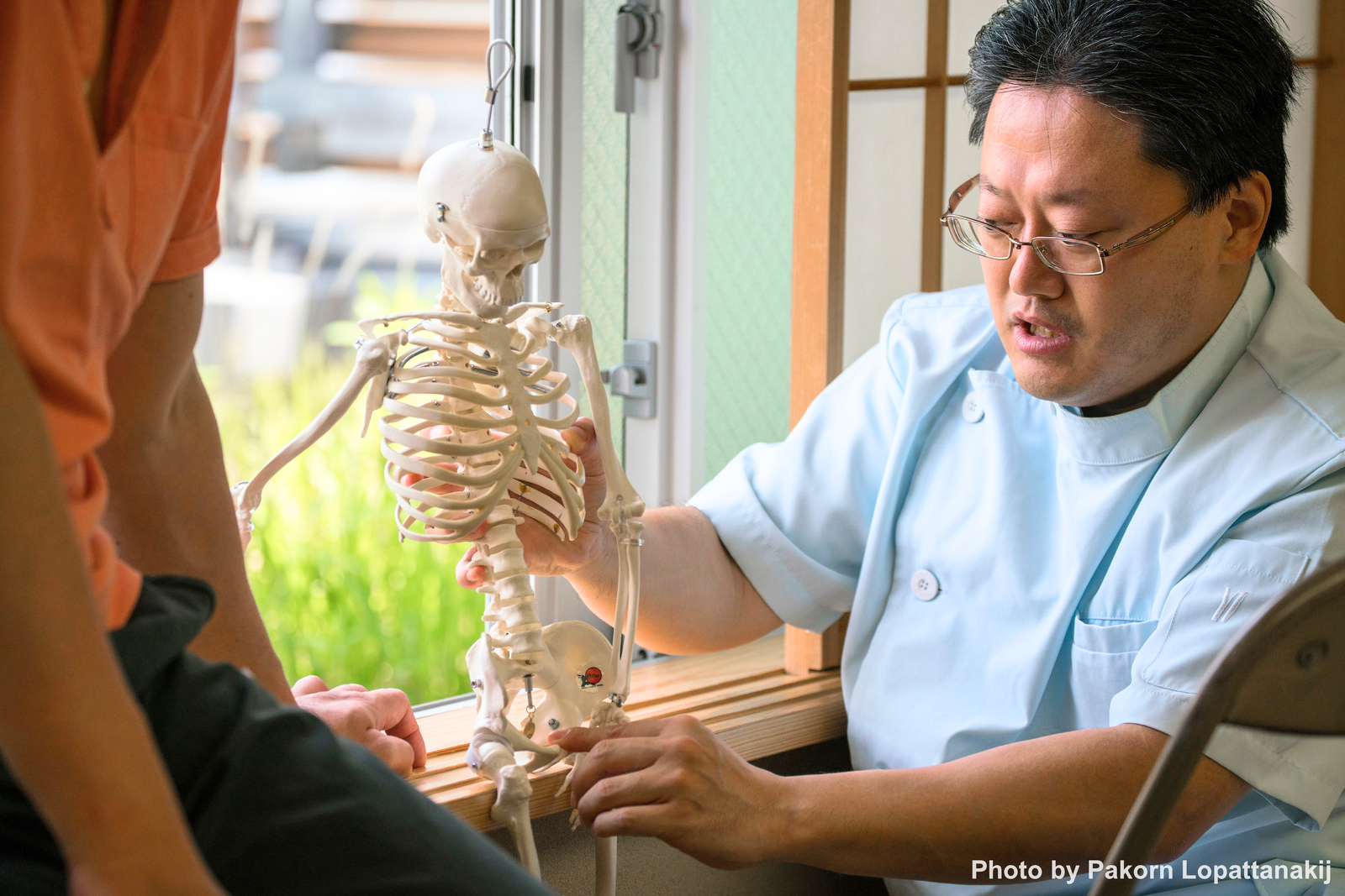 Ninja Anatomy - 骨格模型本体 – Ninja Anatomy Japan Ninja Anatomy - 骨格模型本体 – Ninja Anatomy Japan